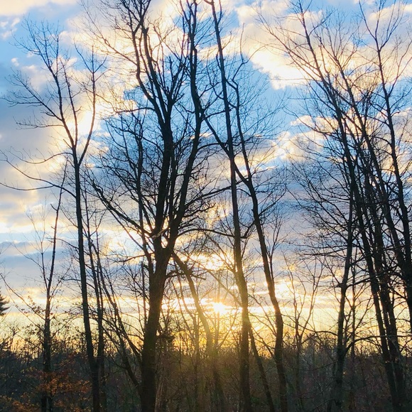 Meet your Posher, Lyne - Picture 1 of 1